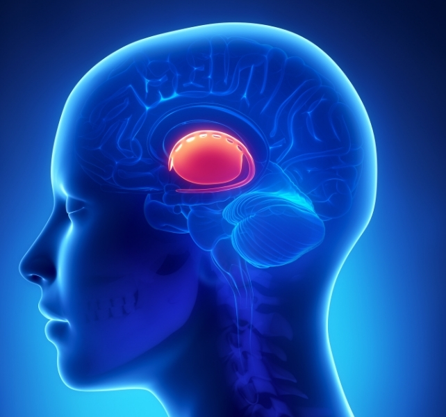 Signs Of Extreme introverted Ness Seem Be Encoded In The Way You Walk